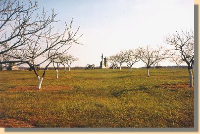 The Peach Orchard - 2000
