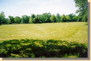 Fraley Field