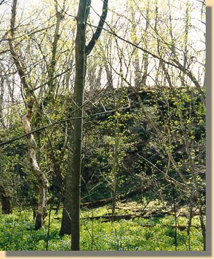 Ball's Bluff
Cliff