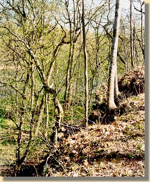 Ball's Bluff Overlook