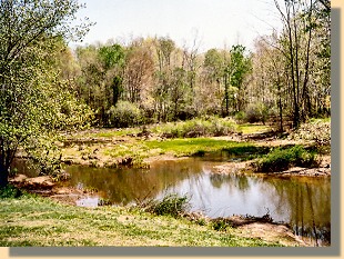 Beaver Dam Creek