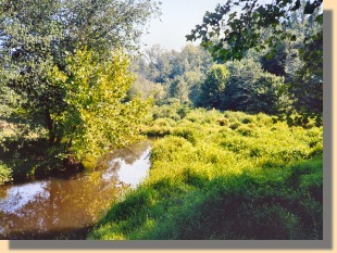 Beaver Dam Creek