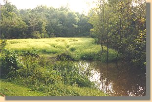 Beaver Dam Creek