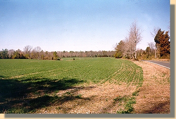 Frayser's Farm - Looking North