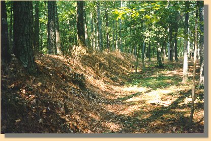 Earthen Wall