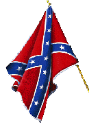 Confederate Battle Flag