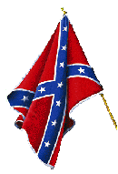 Confederate Battle Flag