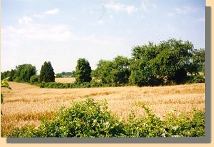 Savage's Station Battlefield