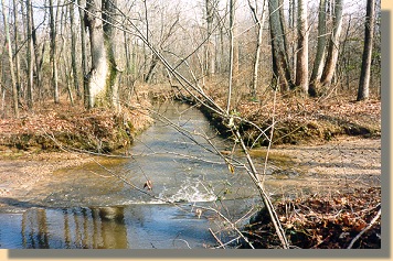 Stream in Jackson's Route