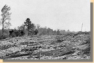Cold Harbor 1864 or 1865