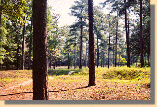 Cold Harbor - 2008