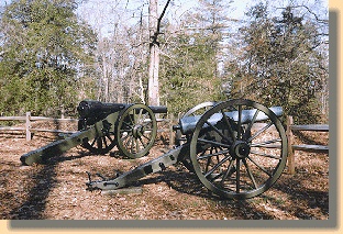 Parrott Cannon