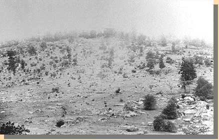 Little Round Top - 1863