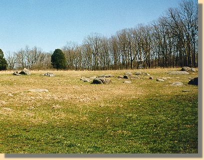 The Wheat Field - 2000