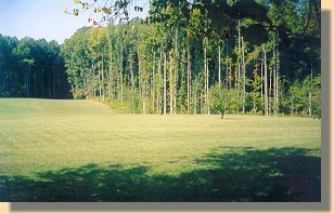 Battlefield at Watt House