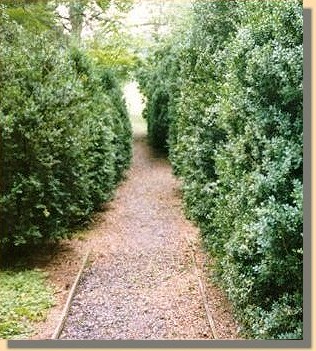 Walkway to Garden