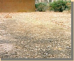 Where Jackson was Shot
