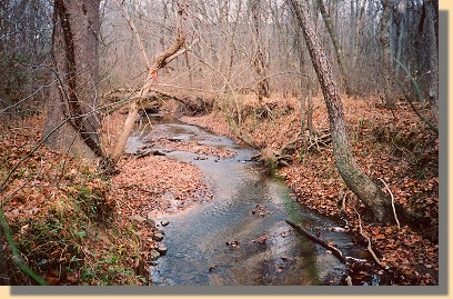 Sailor's Creek