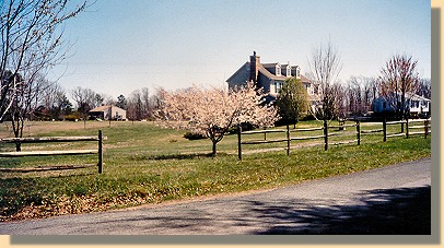 Widow Morris 
   Farm