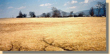 The Field of Lost Shoes