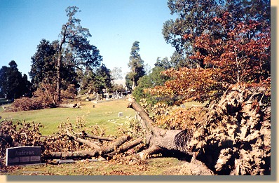 Blandford Cemetery