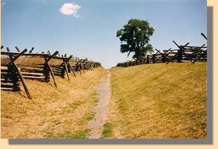 Sunken Road