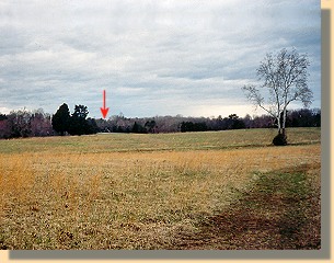 Confederate View