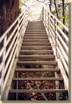 Summit Ladder