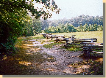 The Sunken Road