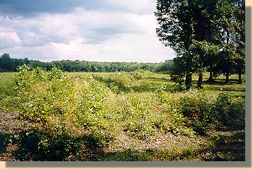 Ewell Earthworks